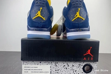 4 504 Jordan Retro AJ4-1036660 Soft 0810